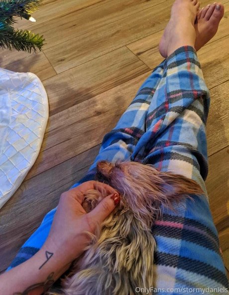 stormydaniels star adult pics