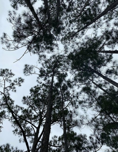 missashlynn top pornstar photo