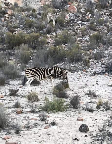 jimnewmannyc free actress pic