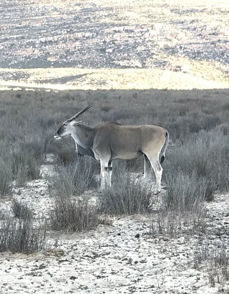 frottage onlyfans pornographic picture