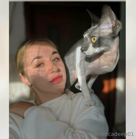 bbc femboy onlyfans hot xxx archive