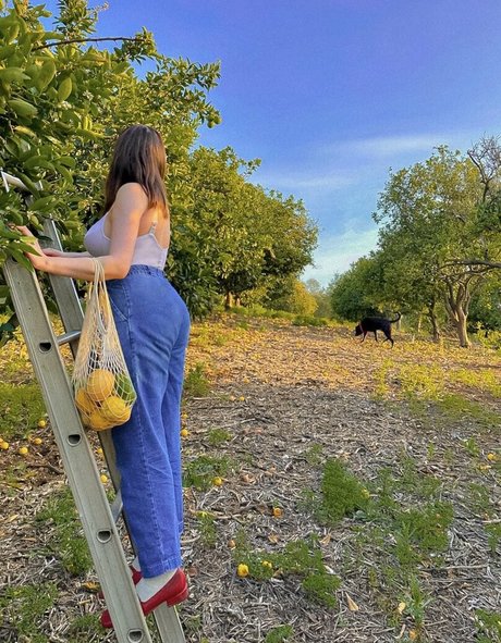 Amylouisev sex actress pictures