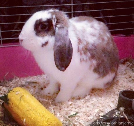 big cock onlyfans sexy naked pictures