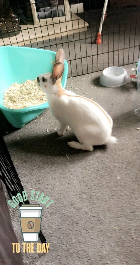 lothianjamie model naked gallery