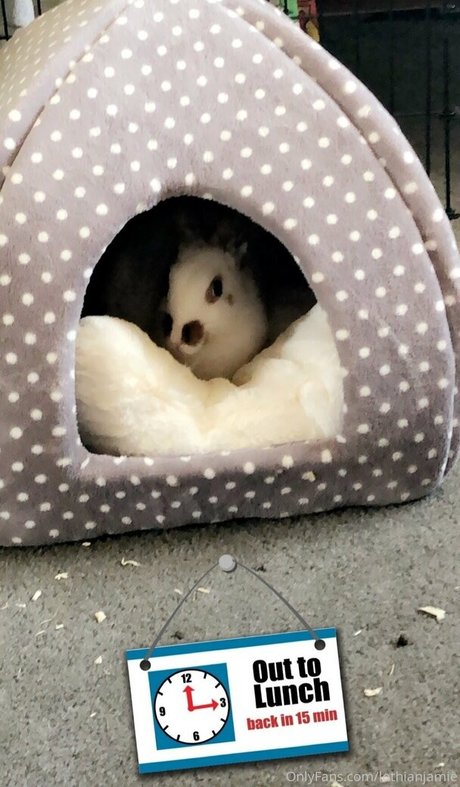 lothianjamie best star galleries