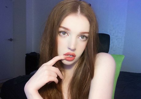 bsidexxi star perfect archive