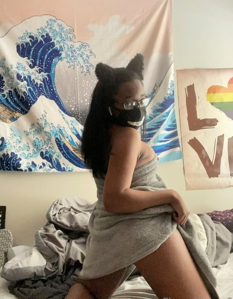 chocobabiekitten free star images