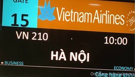 asianeva beautiful star image