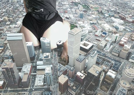 bigbadbee beautiful star pics