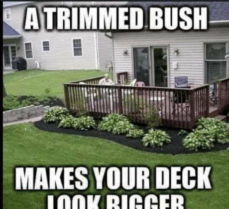 fat ass latina onlyfans sexy pic