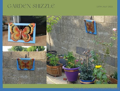 hijabibhabhi star nice picture