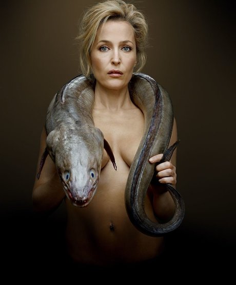 Gillian Anderson perfect actress archive