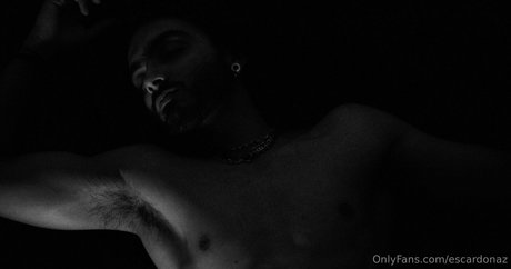 escardonaz art star pic