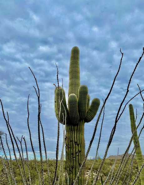 blonde milf onlyfans beautiful porn photo