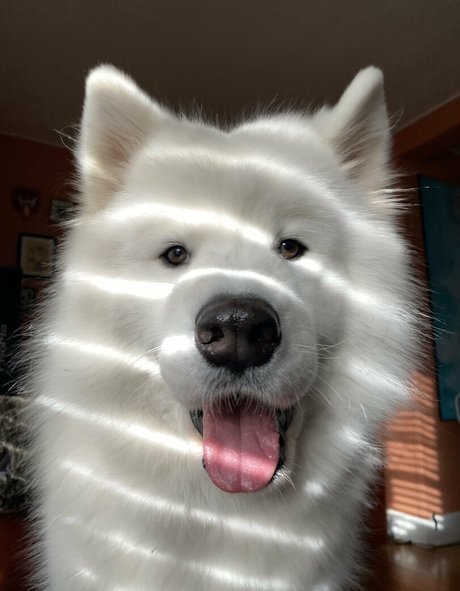 hard nipples onlyfans top image