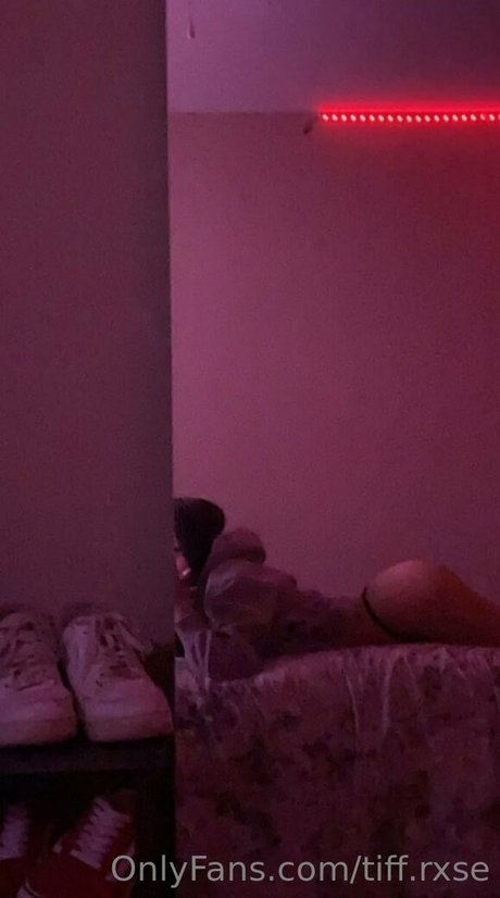 tiff rxse porn actress photo