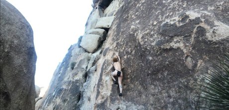 Angelica Danger Dawn art model galleries