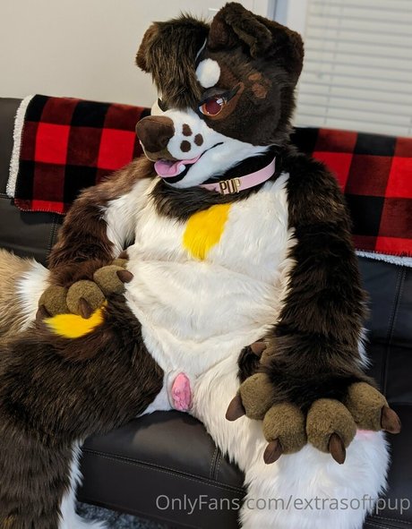 extrasoftpup best star galleries