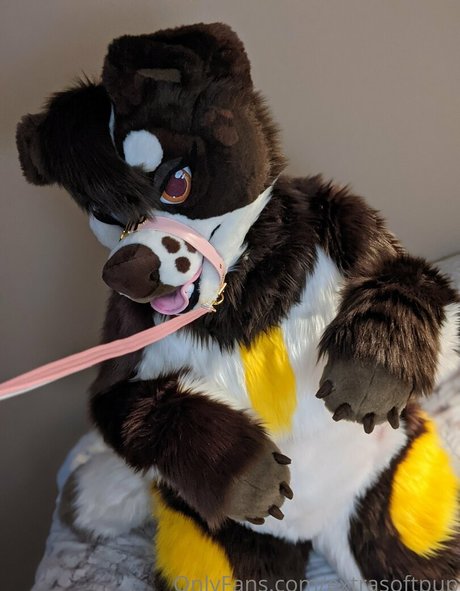 extrasoftpup pornstar galleries