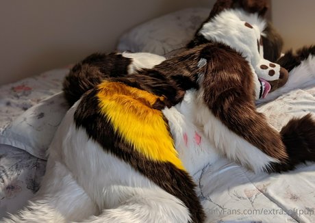 extrasoftpup best model photos