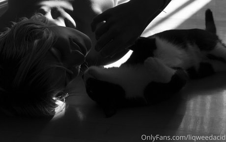 liqweedacid Best Profile Photo