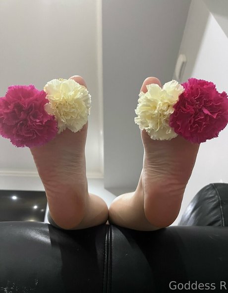 acebosswoman top model gallery