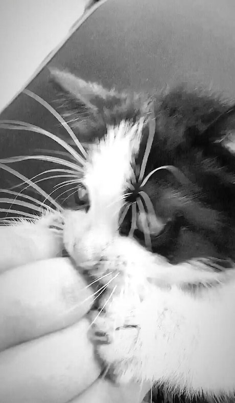 real teacher onlyfans hot sex pictures