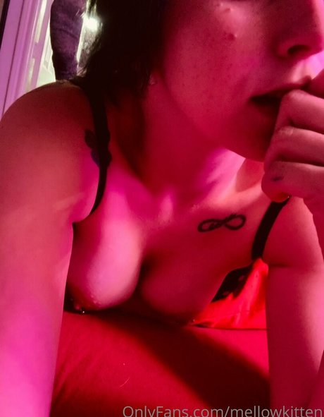 mellowkitten best star pictures