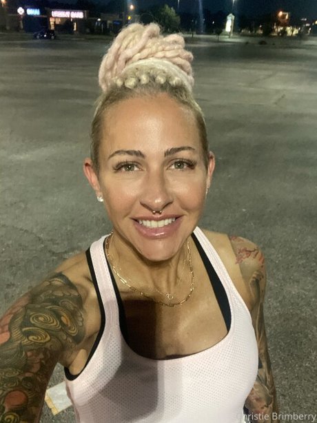 Christie Brimberry pornstar art image