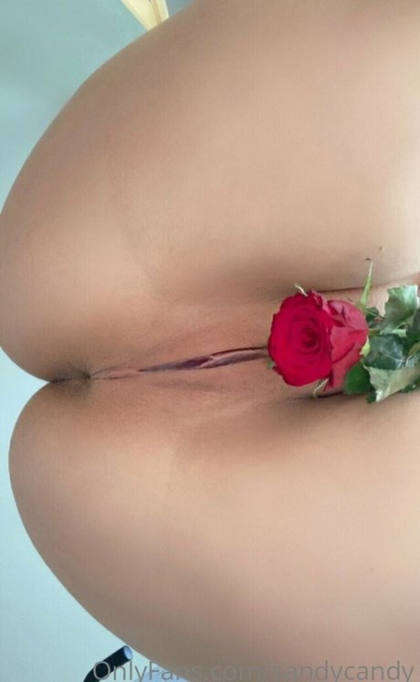 SandyCandy top pornstar picture