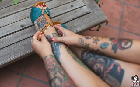 medianochebaby pornographic star images