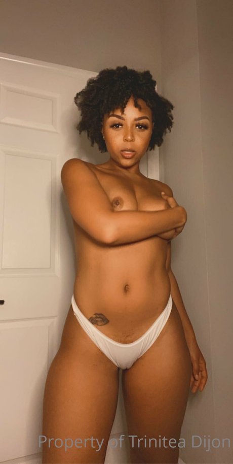 TrinDen pornstar art archive