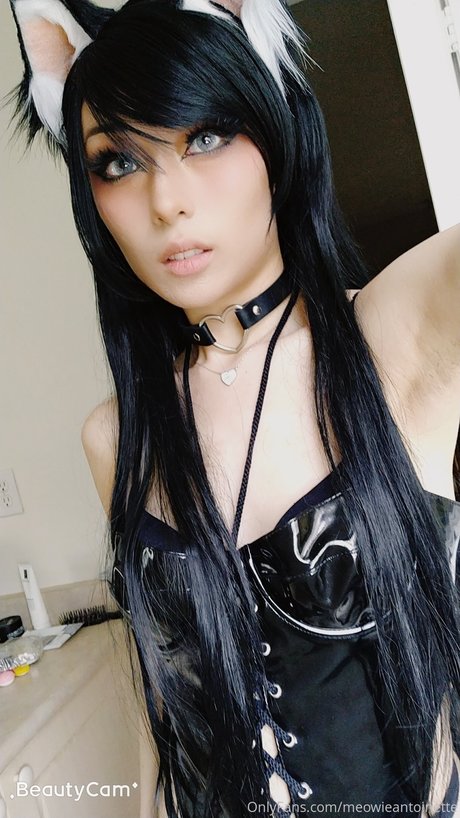 Meowieantoinette model images