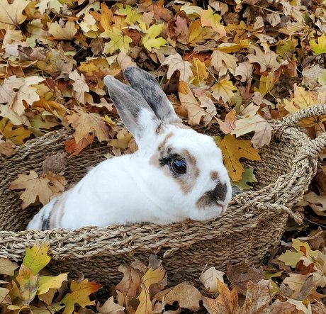 Peachkissx nude star pics