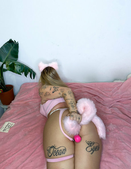 Arinicookies sexy star pic