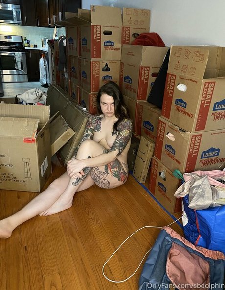 sbdolphin art model archive