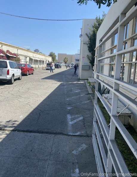 madimeadows pornstar naked images