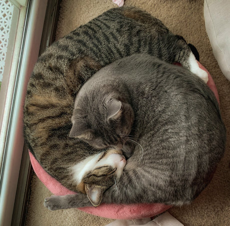 jadeleigh hot model pics