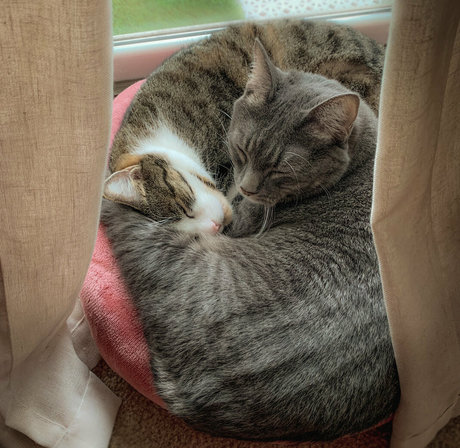 jadeleigh star pornographic archive