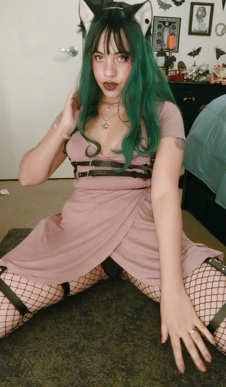 otterbee art star picture