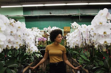 Alisha Wainwright top star galleries