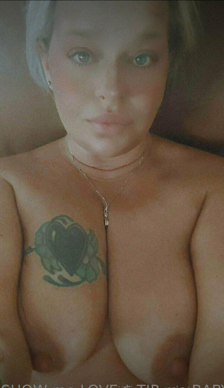 toyboypromofiesta hd pornstar galleries