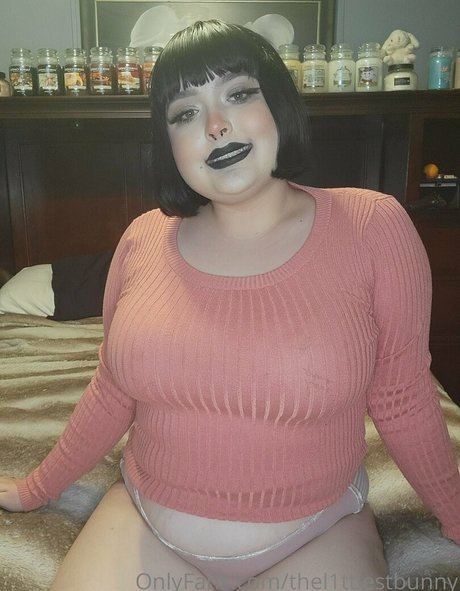 thel1ttlestbunny pornstar nice img