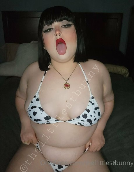 thel1ttlestbunny star beautiful images