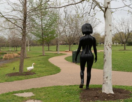 dollified perfect star images