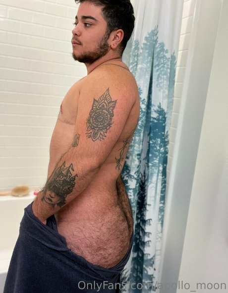 apollo moon star high quality galleries