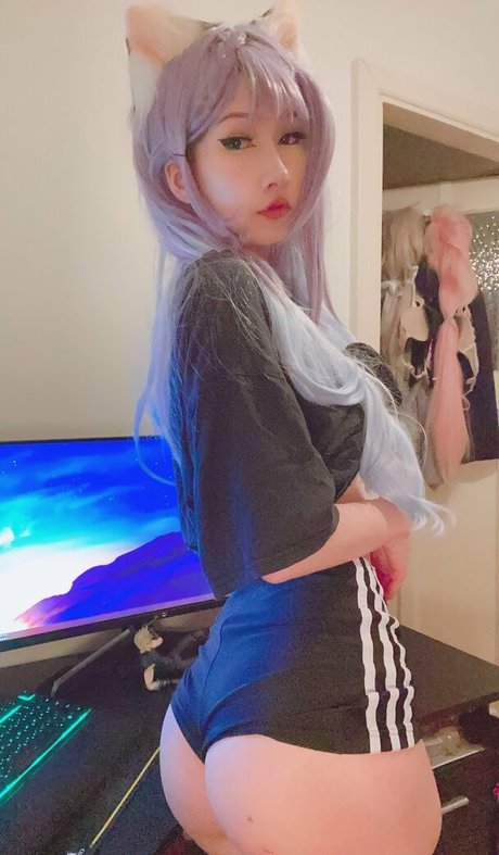 tanukiicos star adult photo