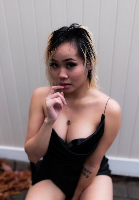 Liquid Pyro perfect model img