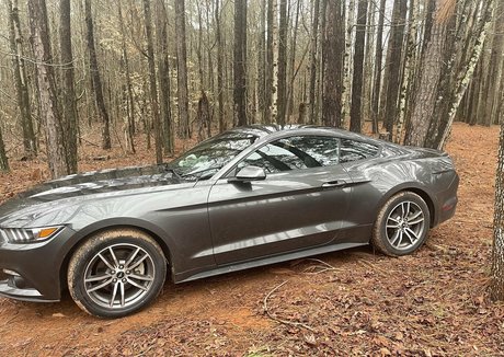 skarlett ivy pornstar exclusive image