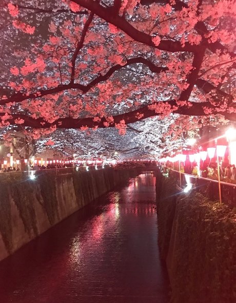 yacchi high quality actress pics